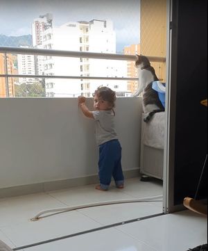 Заботливый кот не позволяет малышу перелезть через перила балкона