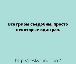 20 замечательных анекдотов для хорошего настроения