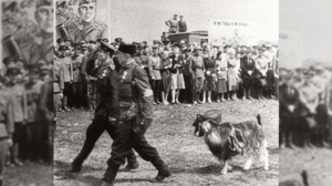 Почему в параде по случаю освобождения Минска рядом с партизанами маршировал козел, увешанный немецкими орденами?