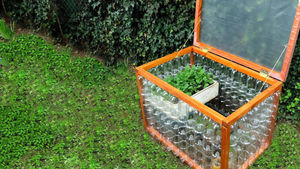 Полезная идея переработки пластиковых бутылок для огорода