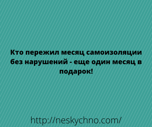 Незабываемые анекдоты, шутки и истории из жизни