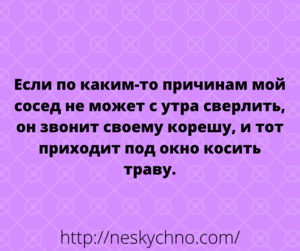 Несколько веселых анекдотов для отличного настроения