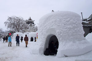 Зимняя Япония. Замок Йокоте. 