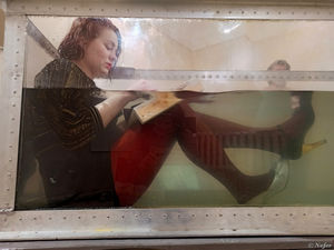 Посетитель позирует в стеклянном гробу, а мокрая художница в аквариуме рисует рыб