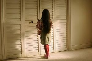 Почему в США двери шкафов часто напоминают жалюзи?