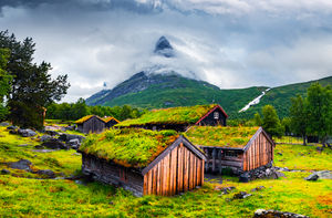 Зачем норвежцам трава на крыше?
