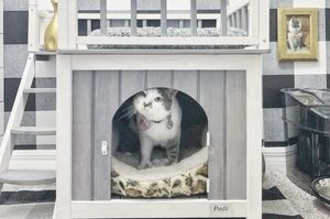 Хозяева построили кошке потрясающий дом в доме