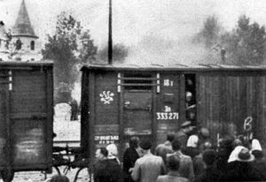 Операция «Прибой»: каких жителей Прибалтики Сталин сослал в Сибирь