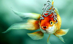 Казус золотой рыбки....