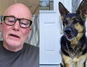 Невероятно трогательная история собаки, которая спасла своего нового хозяина
