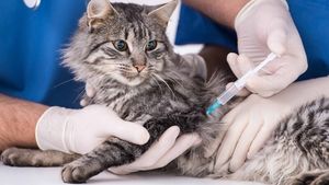 В России зарегистрировали первую в мире вакцину от ковида для животных