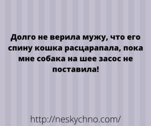 Немного задорного юмора и искрометных анекдотов