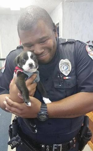 Ночной вызов помог полицейскому стать обладателем маленького, замерзающего щенка