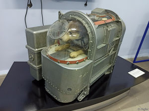 Четвероногие космонавты, чемодан Гагарина и загадочный стул