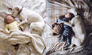 17 милейших фотографий, которые доказывают, что ребёнку просто необходима собака 