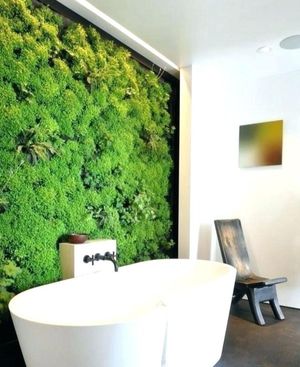 Как оформить зелёную стену из растений в доме: 14 идей