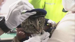 Японская кошка стала начальником полиции в благодарность за спасение человека