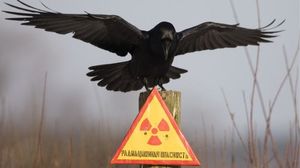 9 самых радиоактивных мест в России  (10 фото)