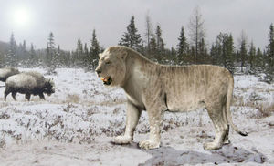 Львы из Якутии: вечная мерзлота раскрывает старые тайны мира