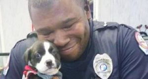 Случай помог щенку найти любящего хозяина, а у офицеру — верного друга