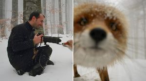 15 казусов, приколов и веселых ситуаций в работе фотографа-натуралиста