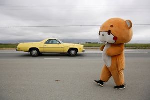 Шагающий медведь: парень прошел 770 км из Лос-Анджелеса в Сан-Франциско