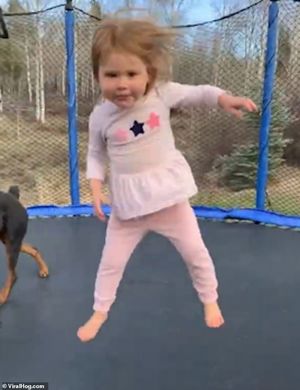 Вопрос, кто больше доволен: девочка и её собака прыгают на батуте