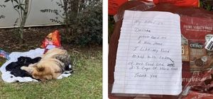 Приют поблагодарил хозяйку, которая бросила собаку на улице
