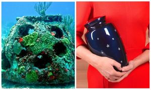 Американская фирма ритуальных услуг предлагает превращать прах умерших в коралловые рифы