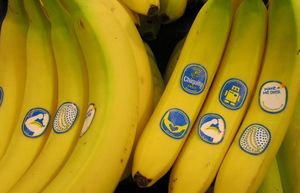 Что означают цифры на наклейках бананов и других фруктов