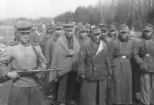 В каком сражении красноармейцы пленили больше всего немецких солдат