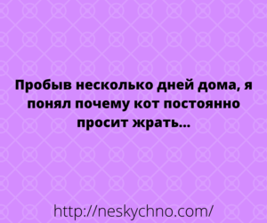 Подборка смешных анекдотов и душевного юмора для отпадного настроения