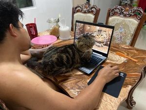 Удивительно обаятельный котяра «украл» у жены ее мужа и она показала это на фото