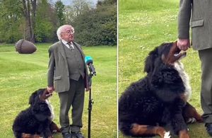 Собака президента Ирландии пыталась играть с хозяином во время интервью