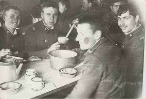 Перловка: почему на самом деле была главным блюдом в Советской армии