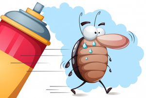 Тараканам – нет: как избавиться от насекомых, не нанимая профессионала