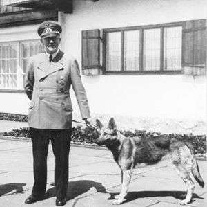 «Спецшкола дрессировки Гитлера»: зачем нацистам нужны были говорящие собаки
