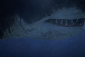 На пляже Австралии нашли зубы гигантской акулы
