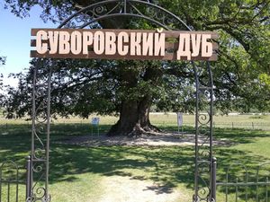 Туристский маршрут в Крыму: Суворовский дуб и Белогорск