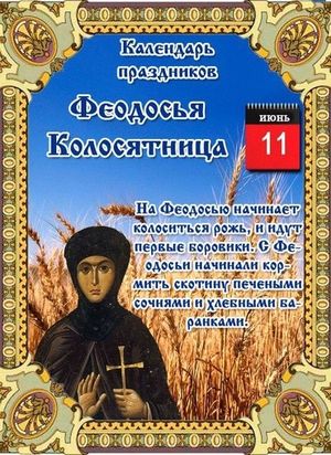 11 июня  - Народно-христианский праздник Феодосия Колосяница.