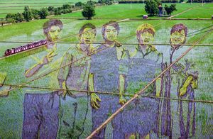 Фото дня: рисунок на рисовых полях в Китае