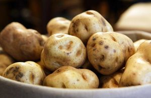 Зачем ученые заставили кусты картофеля светиться