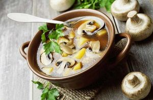 Какие съедобные грибы нельзя добавлять в суп и почему