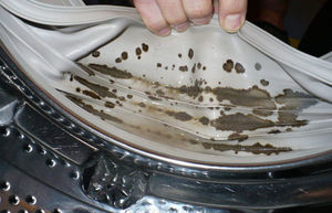 Плесень и грибок в стиральной машине: как сделать так, чтобы проблема ушла и не вернулась