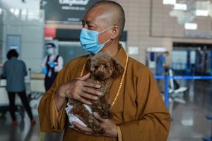Благая миссия: монах из Шанхая заботится о 8 000 бездомных животных