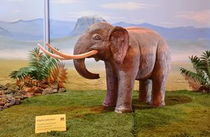 Теряли по 200 кг: ученые рассказали, как быстро слоны Сицилии стали карликами