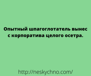 Веселая подборка самых смешных анекдотов из сети