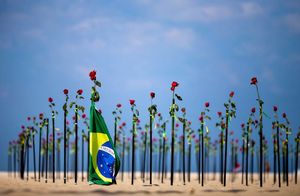 Фото дня: розы на пляже в Рио-де-Жанейро
