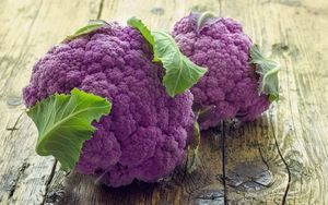 Фиолетовая цветная капуста (сиреневая) на фото: сорта и выращивание