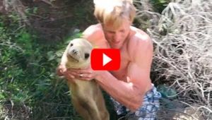Мужчина помог маленькому тюленю, попавшему в беду. Радости малыша не было предела!